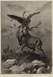 Ein königliches Duell